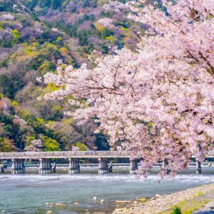 【コラム】充実した春を迎えるために