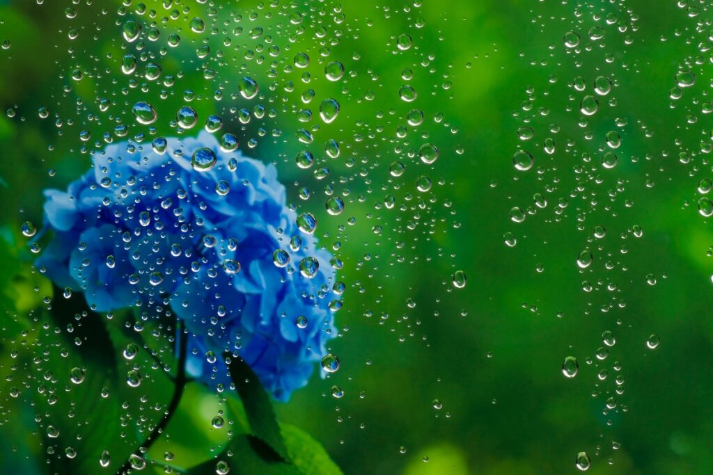 【コラム】梅雨時期に思い悩んでしまったときは