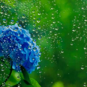 【コラム】梅雨時期に思い悩んでしまったときは
